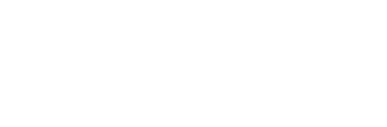 Crane vc logo