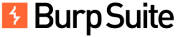Point solutions | BurpSuite