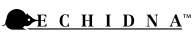 Point solutions | Echinda