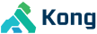 Point solutions | kong