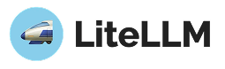 Litellm