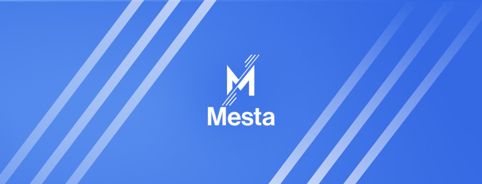 Blog post | Mesta secures $2M to expand hybrid fiat-stablecoin payment rails